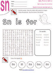 sn-digraph-wordsearch